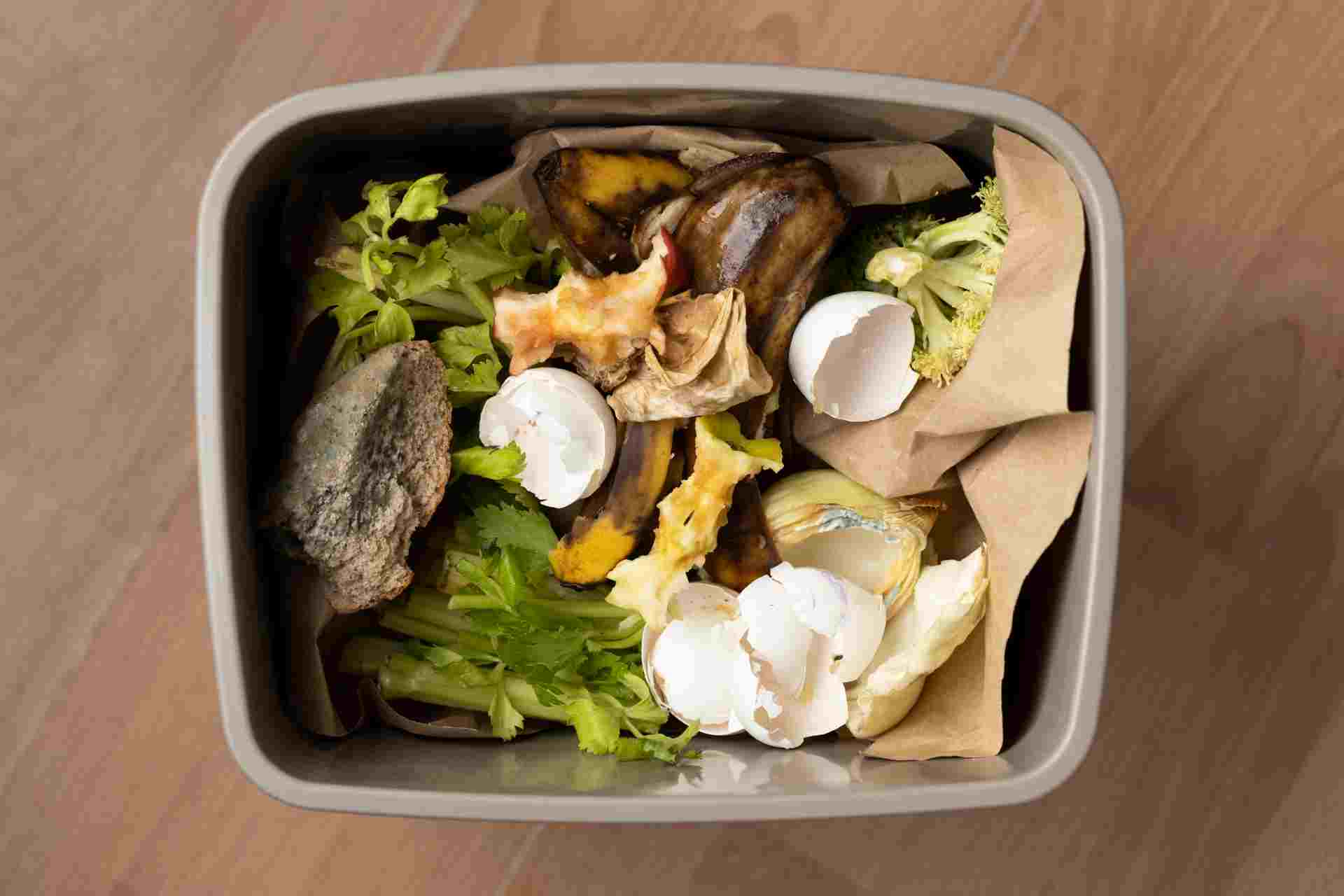 Food Waste Disposal and Reduction (Level 2)
