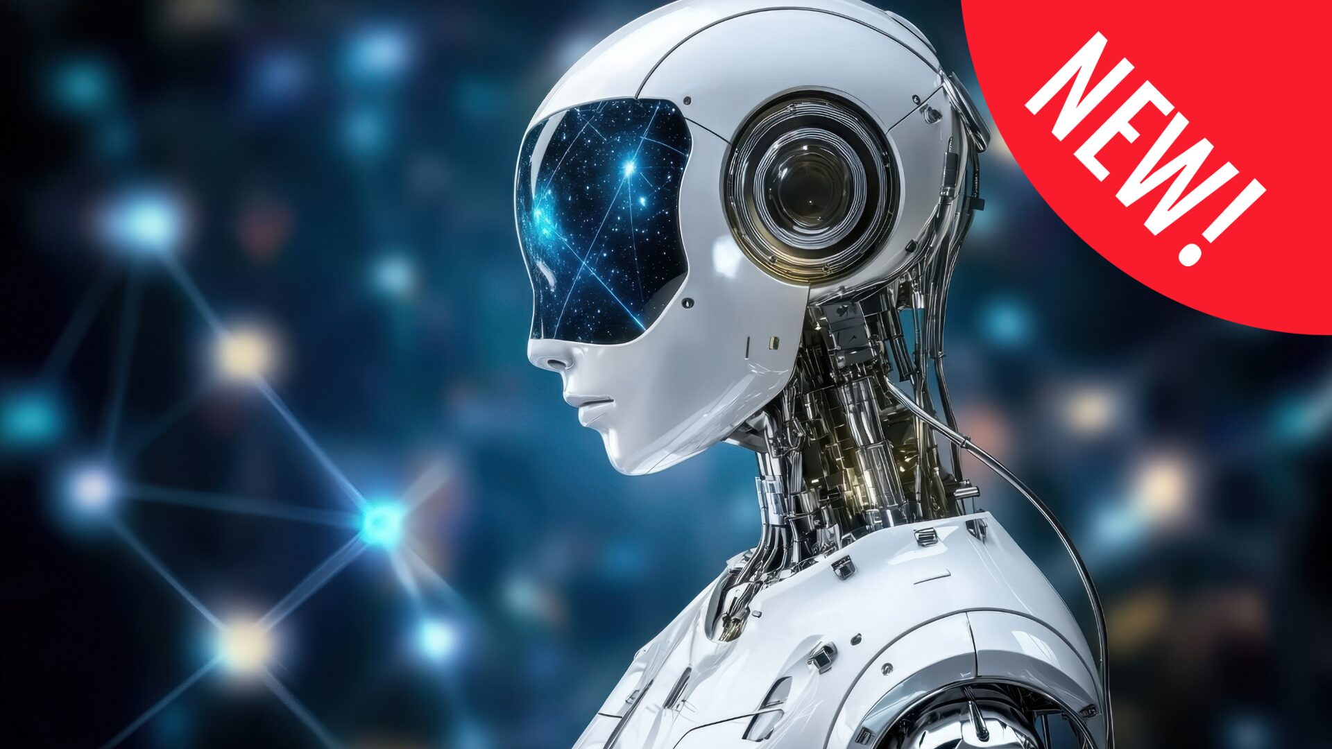 Intermediate Prompt Engineering for AI Practitioners (6 SDU Points)