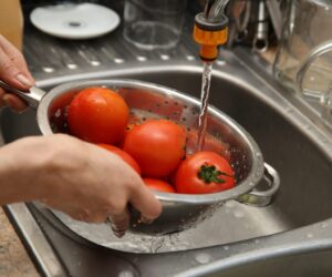A women using a colander and a kitchen sink to wash tomatoes. Food hygiene and safety concept image.